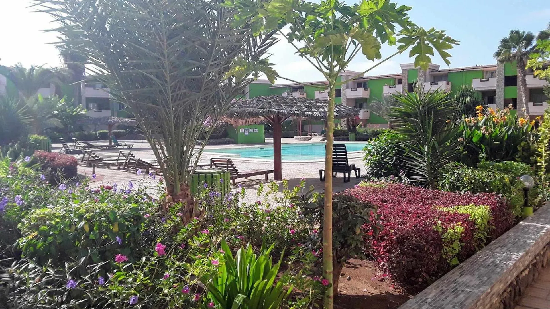 Apartment Casa Verde Santa Maria Cape Verde